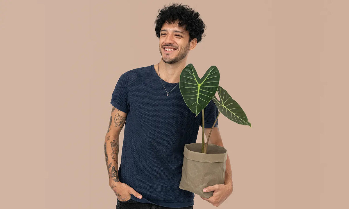 Organic Cotton T-Shirts