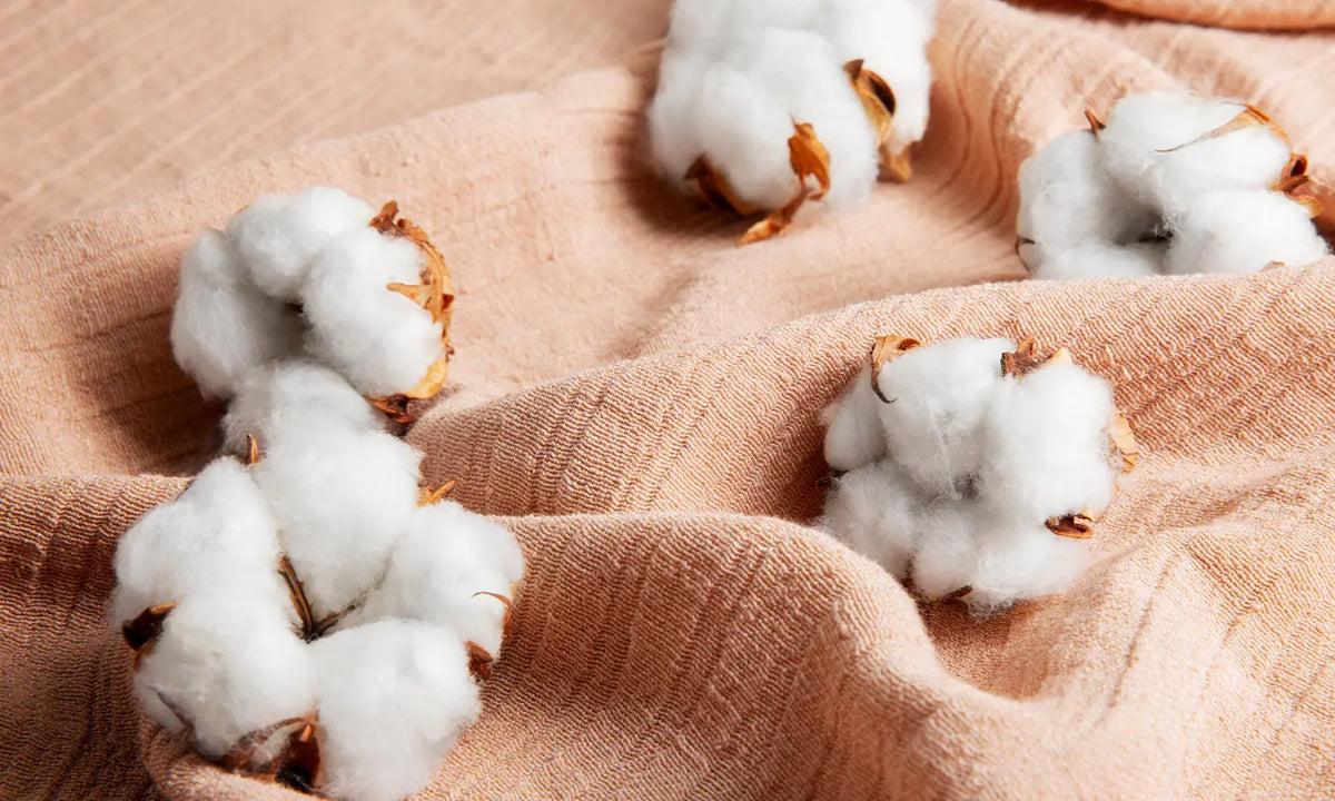 Supima Cotton Collection